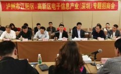 江陽區(qū)、瀘州國家高新區(qū)在深圳開展專題招商