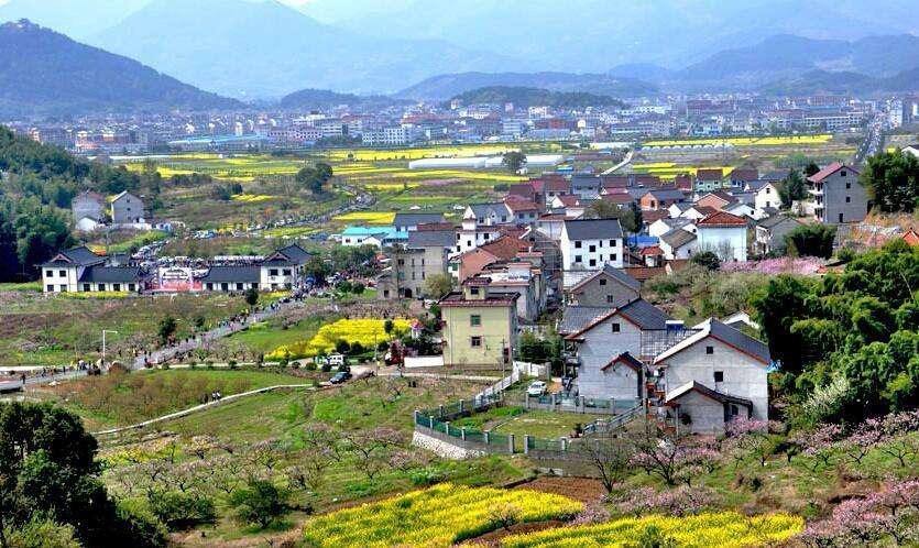 馬曉河 涂圣偉:實現農民富、農業(yè)強、農村美的路線圖