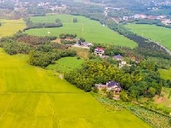 智慧園區規劃 | 產業園區該如何應對突發公共事件?