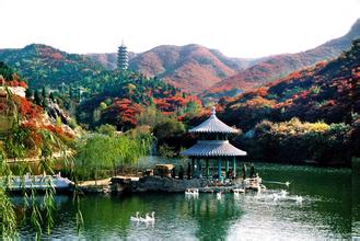 國家林業局關于印發《中國生態文化發展綱要 (2016-2020年)》的通知