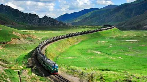 “一帶一路”,帶西充走上國際有機路