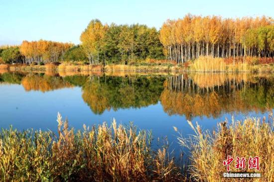 甘肅經濟觸底求變:打好特色牌,多拿單打冠亞軍