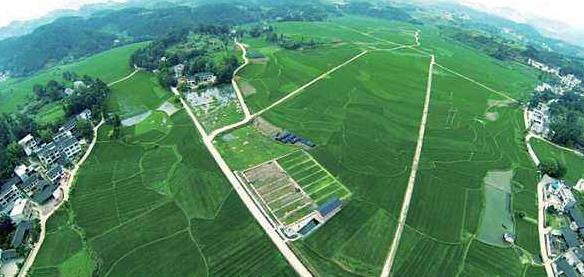 大健康事業是國家趨勢,現今走在前面的人,將是未來的主角!