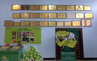 “芒果百色，香飄百地” 國內(nèi)首家芒果精深加工特色產(chǎn)業(yè)基地申報(bào)進(jìn)行時