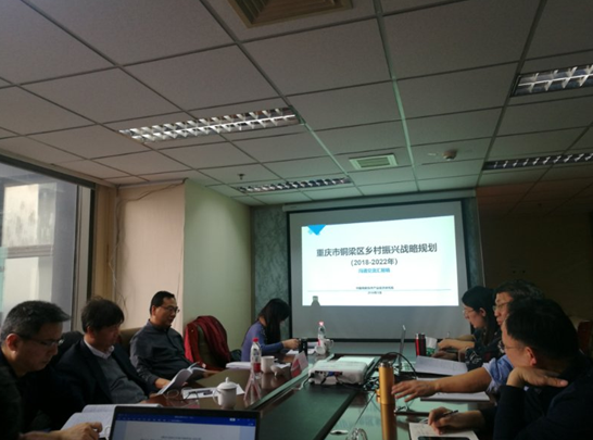 問診專家，繪制龍鄉(xiāng)銅梁鄉(xiāng)村振興新藍圖