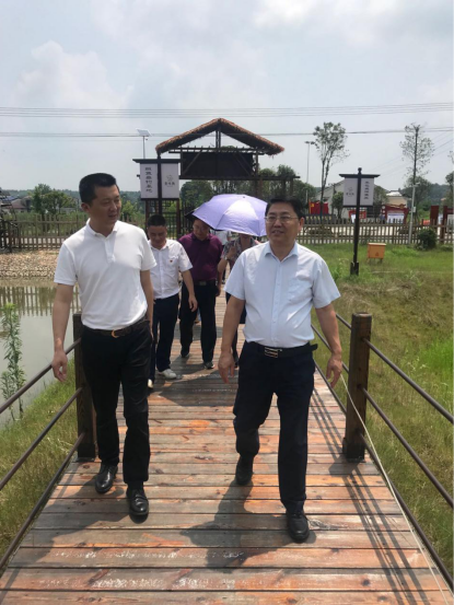 長沙鄉村振興正當時,鄉村治理獲贊譽