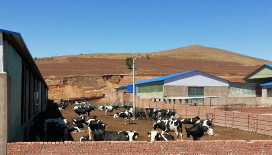 科右前旗農業現代化示范區創建按下“加速鍵”,吹響“集結號”