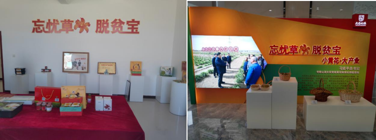 打造農業綠色發展典范,云州區創建國家農業綠色發展先行區勢在必行