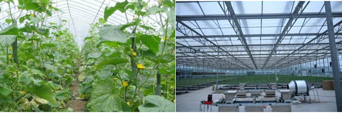 高新院再創佳績，又一國家現代農業產業園誕生在三晉大地