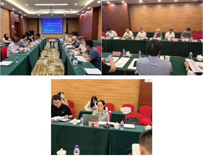 《培育發展湘潭市、婁底市、衡陽市先進鋼鐵材料集群實施方案》獲專家高度評價