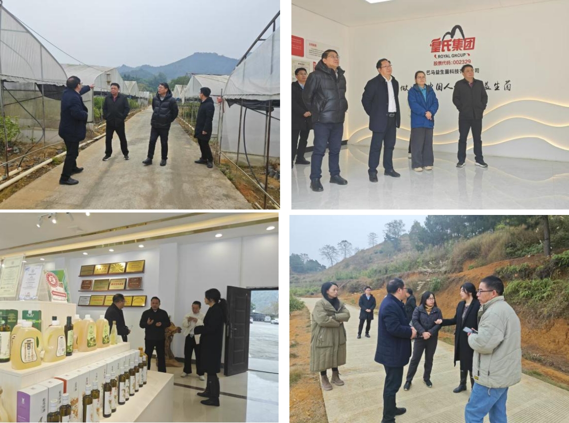 長壽之鄉,逐路之行——高新院專家組一行赴廣西巴馬瑤族自治縣開展河池農高區創建調研