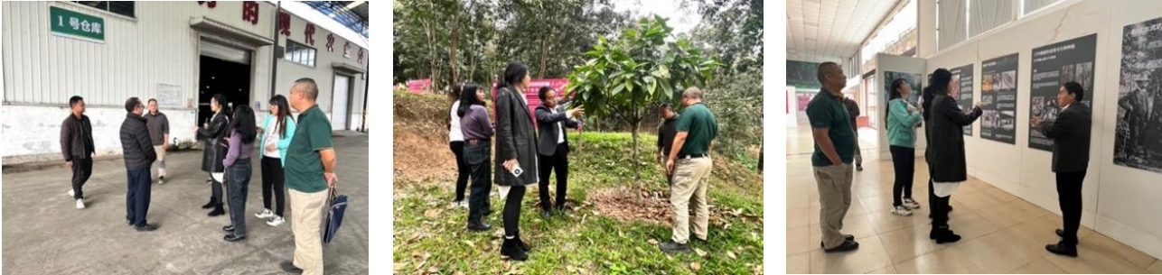 我院團(tuán)隊(duì)走入“中國天然橡膠第一縣”,與勐臘共赴國家現(xiàn)代農(nóng)業(yè)產(chǎn)業(yè)園建設(shè)之路