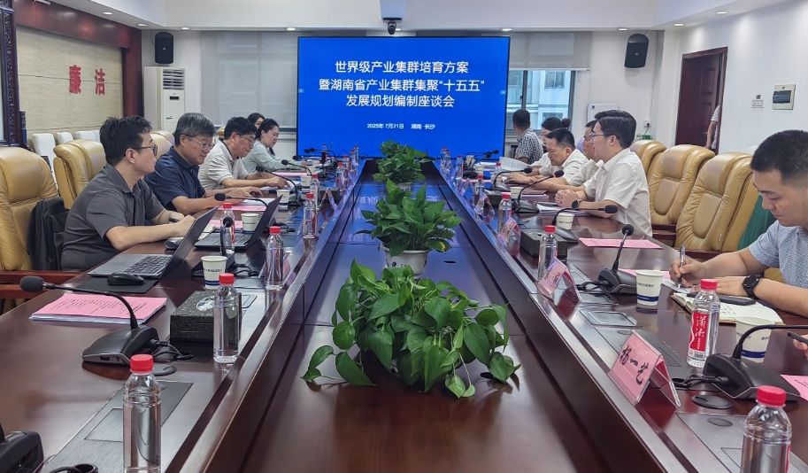 敢為人先促改革 匯智聚力建集群 —— 我院赴湖南工信廳匯報(bào)湖南省產(chǎn)業(yè)集群集聚 “十五五” 發(fā)展規(guī)劃思路框架